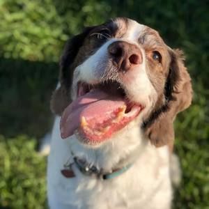 Meet your Posher, Jenni